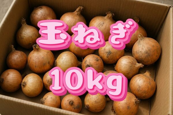 玉ねぎ10kg!大容量お買い得