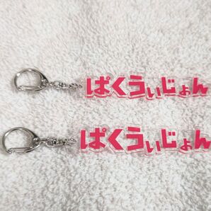 鹿島アントラーズ パクウィジョン ひらがなキーホルダー2っセット
