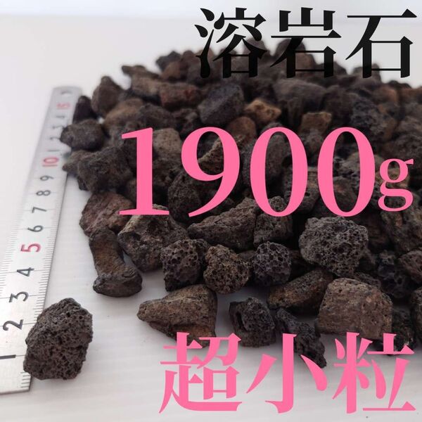 【超小粒】溶岩石 1900g ☆アクアリウム、テラリウム、コケリウムに最適