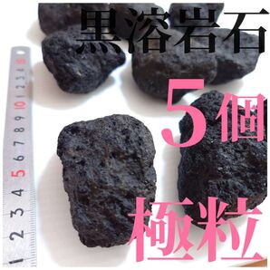 【希少】黒溶岩石 5個 【極粒】☆アクアリウム、テラリウム、コケリウムに最適