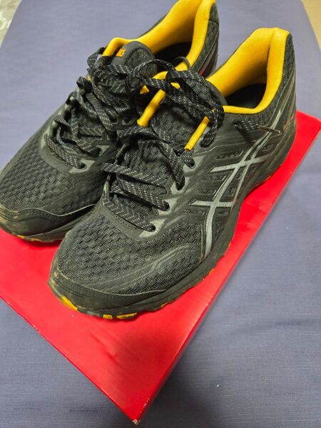 27.5cm ASICS GT 2000 5 Trail Plasmaguard JP トレイルラン シューズ