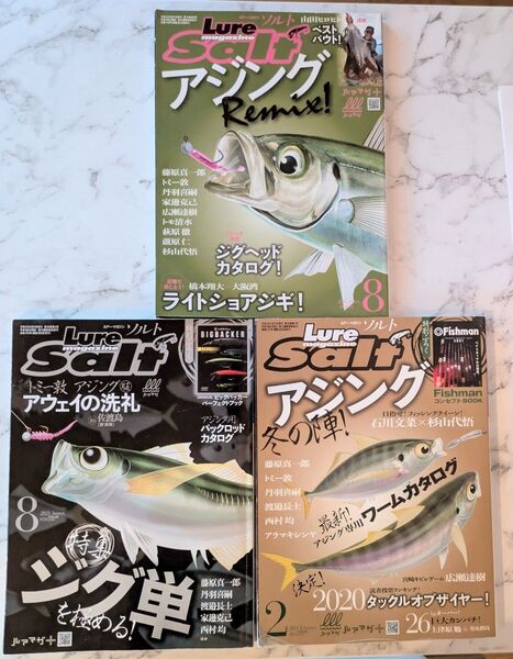 ルアーマガジンソルト アジング特集 2020年8月号、2021年2月号、2021年8月号