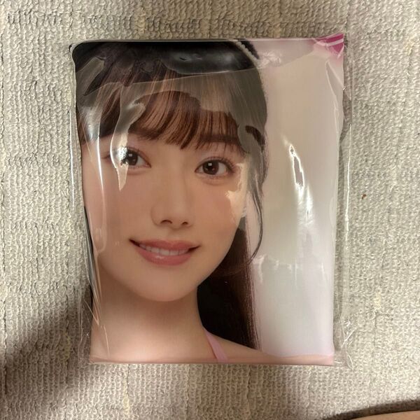 宮下玲奈 抱き枕カバー