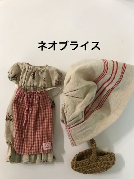 ネオブライス アウトフィット