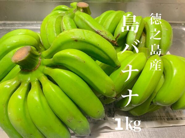 島バナナ〜徳之島産〜農薬不使用栽培♪1キロ