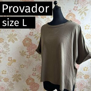 Provador レディース カットソー L ゆったりサイズ