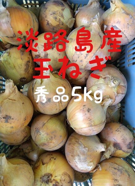 淡路島産玉ねぎ◎秀品5k◎