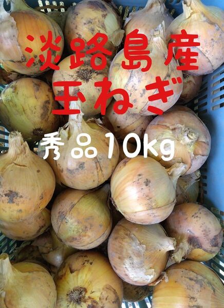 淡路島産玉ねぎ◎秀品10kg◎