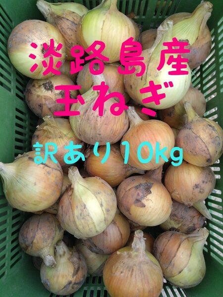 淡路島産玉ねぎ◎訳あり10kg◎ターザン