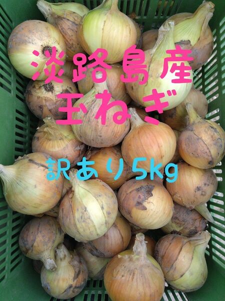 淡路島産玉ねぎ◎訳あり5kg◎ターザン