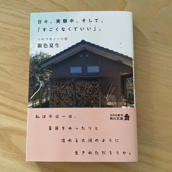 日々、実験中。そして、「すごくなくていい」。 (角川文庫 き9-48 つれづれノート 47) 銀色夏生/〔著〕