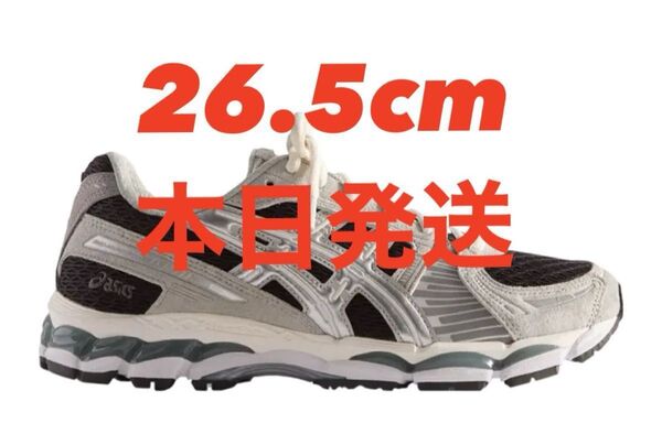 KITH Ronnie Fieg × Asics Gel-Kayano 12.1 "Peat/Cream/Black"