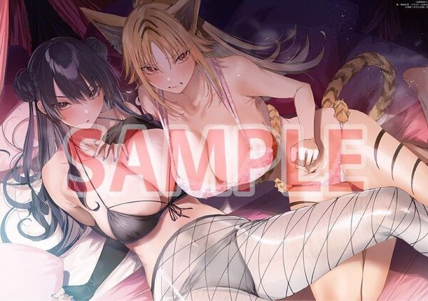 HTM/未開封品/kakao/B2タペストリー/淫魔追放 3巻 有償特典のみ/赤城大空