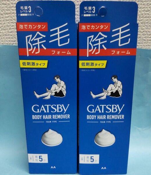 2本【未開封新品】GATSBY 除毛フォーム低刺激 80g ★匿名便送料無料★