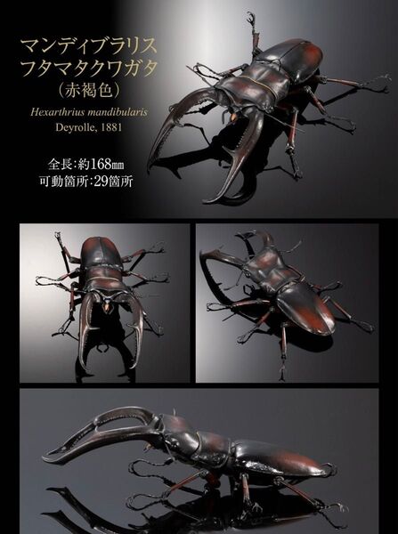 いきもの大図鑑 アドバンス ギラファノコギリクワガタとマンディブラリスフタマタクワガタ (赤褐色)