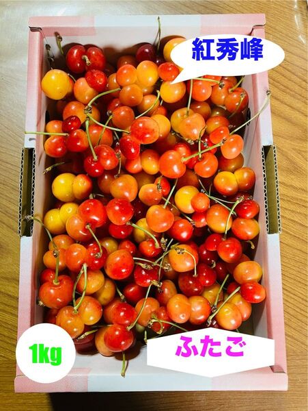 さくらんぼ 紅秀峰 訳あり ふたごのみ 1kg