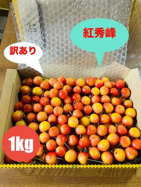さくらんぼ 紅秀峰 訳あり 1kg