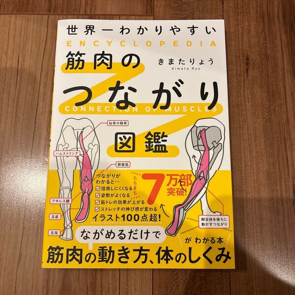 世界一わかりやすい筋肉のつながり図鑑 きまたりょう/著