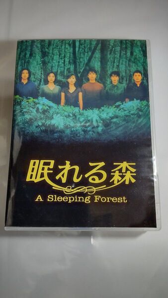 眠れる森 DVD 6枚セット 中山美穂 木村拓哉 輸入版