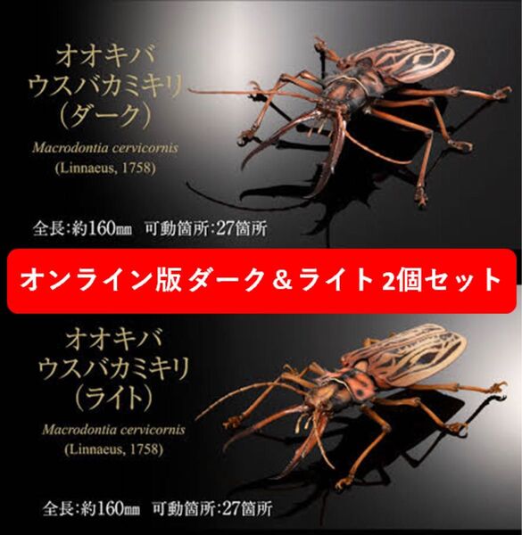 【オンライン版未開封】いきもの大図鑑アドバンス オオキバウスバカミキリ ダーク&ライト 2個セット