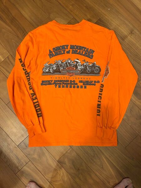 Harley-Davidson ロングスリーブ ポケットTシャツ袖プリントハーレー 90s 長袖Tシャツ ロンT