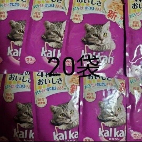 カルカン パウチ 4種のおいしさ まぐろ・たい・かにかま・ささみ入り 70g ×20