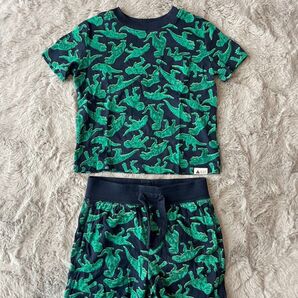 GAP 恐竜柄 セットアップ