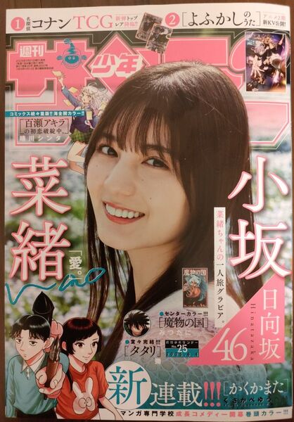 週刊少年サンデー25号/2025年6月4日号 (小学館)※一部切抜き箇所あり