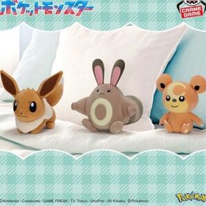 ポケットモンスター ぬいぐるみ~イーブイ・オタチ・ヒメグマ~