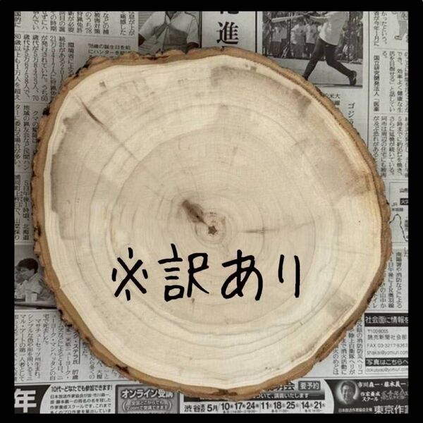 桐 切り株 皮剥ぎ 丸太 輪切り 木材 木 アレンジ DIY アウトドア インテリア 雑貨 置き台 ハンドメイド 訳あり 円形