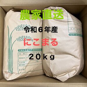 農家直送 令和6年産 にこまる 20kg