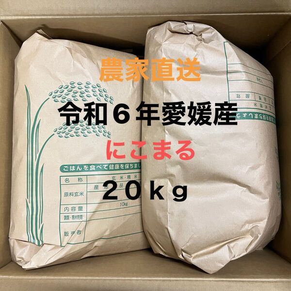 農家直送 令和6年産 愛媛県産 にこまる 玄米 20kg
