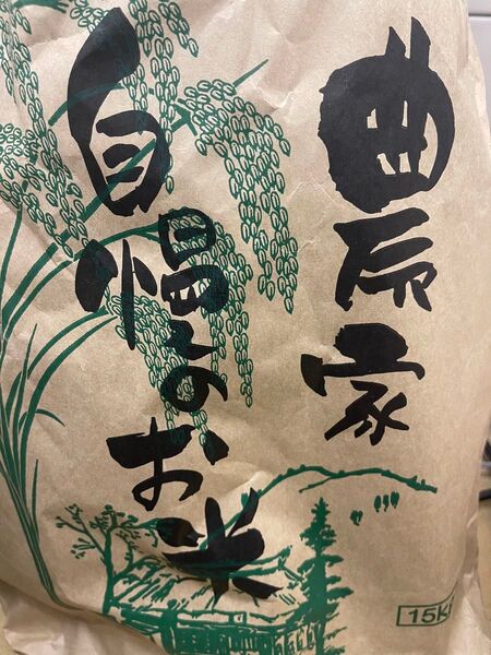 コシヒカリ 15キロ 生産令和6年 精米令和7年5月 愛知 精米済み