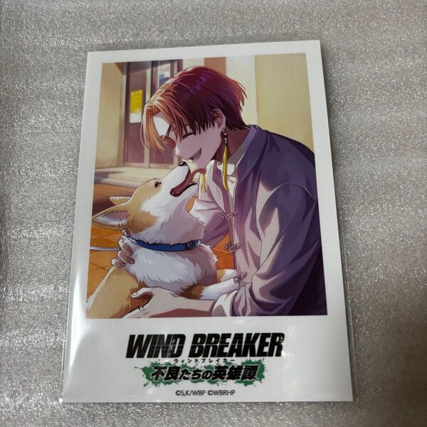 WIND BREAKER ウィンブレ 蘇枋隼飛 ウィンヒロ ポラロイドカード
