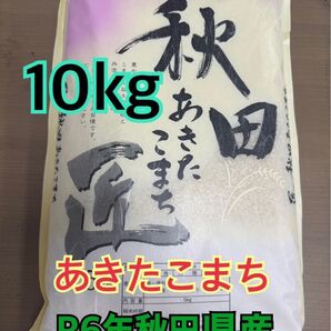 白米10kg R6年秋田県産 あきたこまち うるち米 数量限定出品 6/5より順次発送