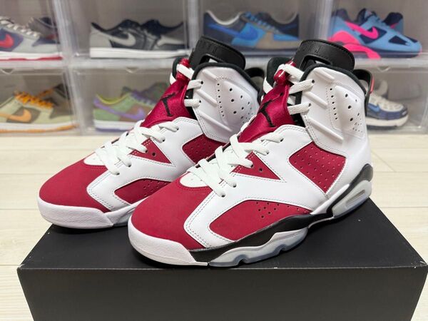 Nike Air Jordan 6 Carmine ナイキ エア ジョーダン