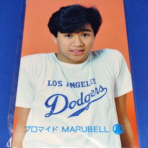 近藤真彦 マルベル堂 プロマイド写真☆マッチ ブロマイド MATCHY MARUBELL 生写真 昭和タレント