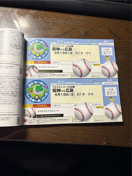 阪神vs広島 ウエスタン公式戦 6/18(水)18時 チケット2枚