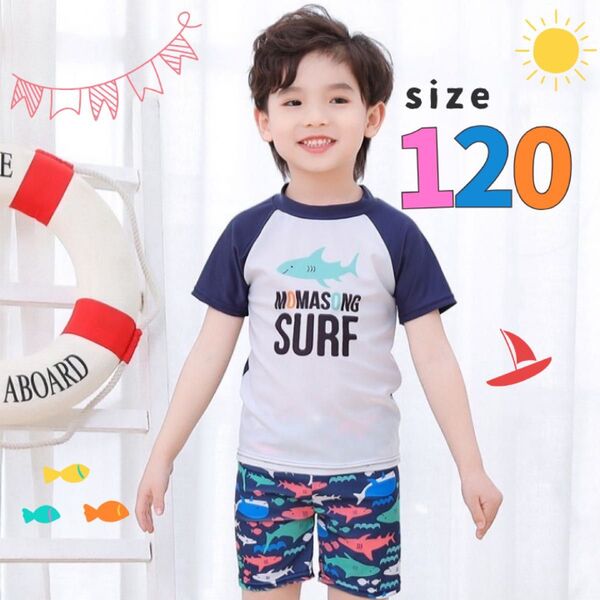 キッズ水着 男の子 ラッシュガード 半袖 サメ柄 プール 海 水遊び 魚 120 アウトドア 海の生き物 スイムウェア