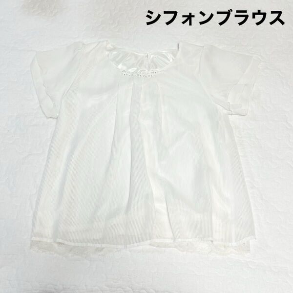 【在庫処分】ホワイトシフォン半袖ブラウス フリーサイズ ブラウス 半袖 ホワイト トップス