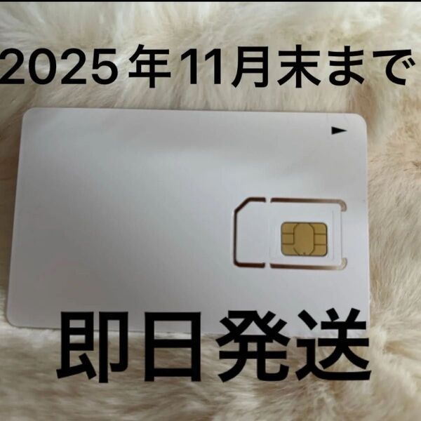 プリペイド simカード docomo SMS受信可能