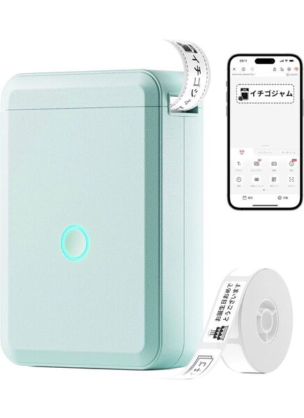 NIIMBOT D110 ラベルライター スマホ対応プリンター 多機能ラベルプリンター USB充電式 (ライトグリーン)