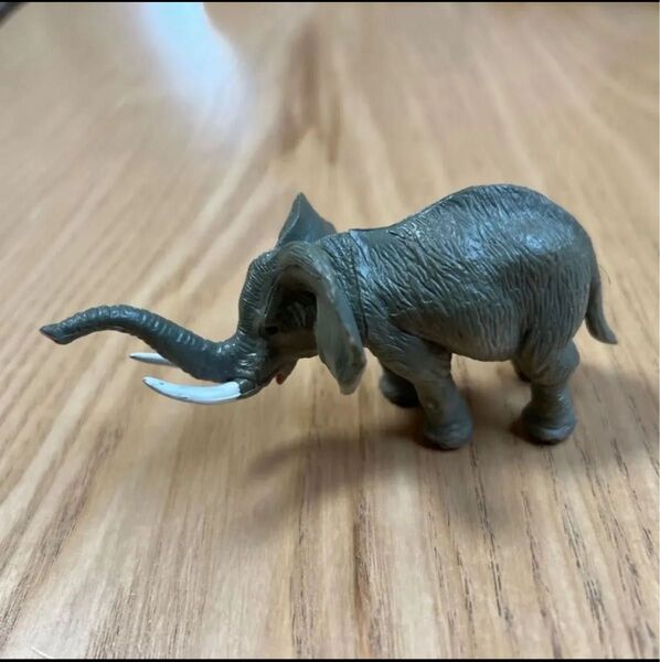 ゾウ フィギュア ぞう 生き物