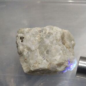 鉱物標本 蛍光鉱物 滋賀県産 水晶洞窟、黄銅鉱、斑銅鉱付きブルーホタル石