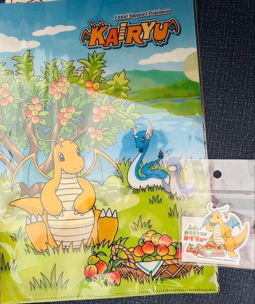 福井県 ポケモンカイリュー クリアファイル&ステッカー