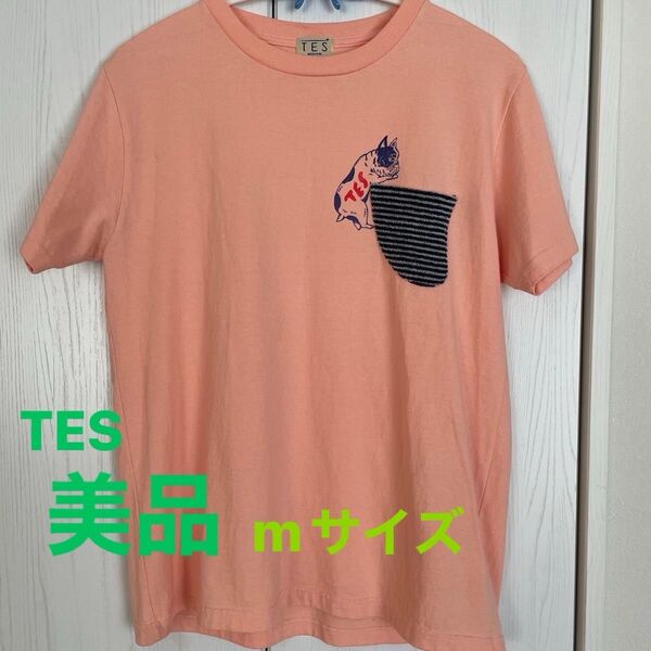 TES エンドレスサマー Tシャツ M 美品 半袖