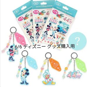 ディズニー グッズ購入用 6/6 SUNNY SUNNY Summer サニーサニーサマー