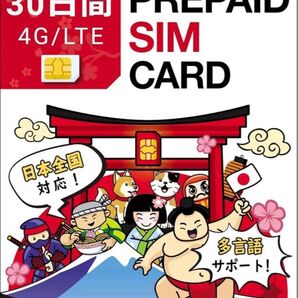 日本 プリペイドSIM 10GB 30日間 4G/LTE 多言語