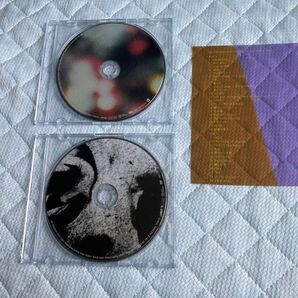 アリーナツアー公演のDVDのみ 「Mr.Children/miss you LIVE」 ミスチル