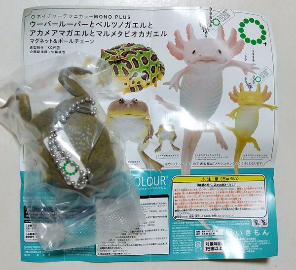 いきもん ウーパールーパーとベルツノガエルとアカメアマガエルとマルメタピオカガエル マルメタピオカガエル ボールチェーン ガチャ